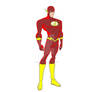 Flash
