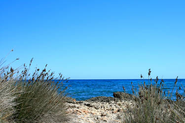 Mallorca Ocean View