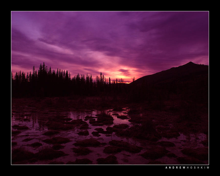 Mulberry Sky, BC (2003)