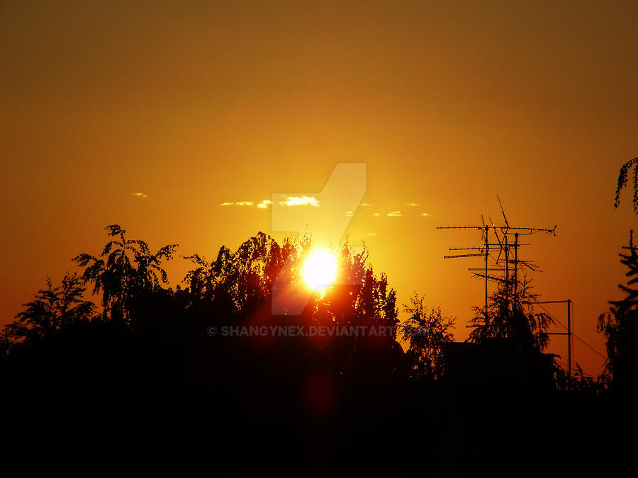 Suburban sunrise