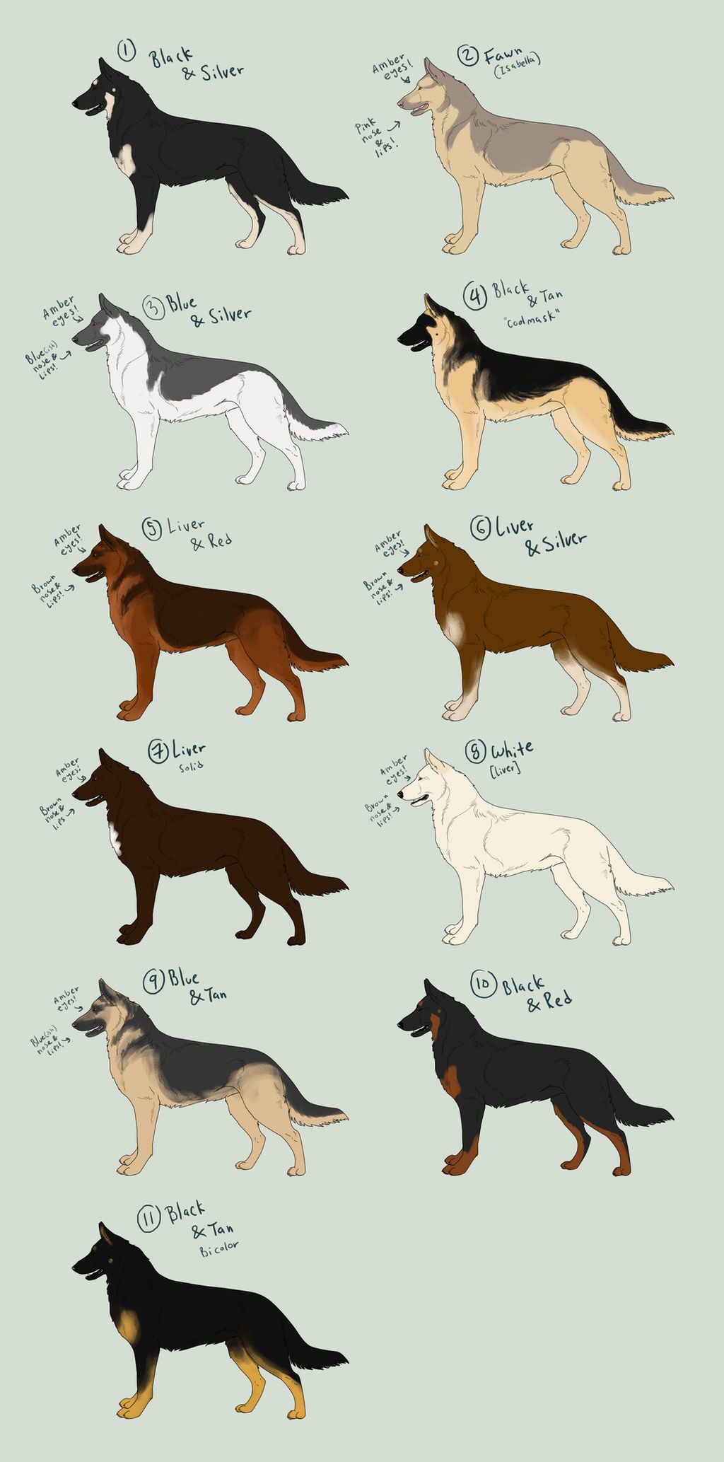 German Shepherd Dog Adoptables batch1- CLOSED