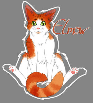 Elmar the cat