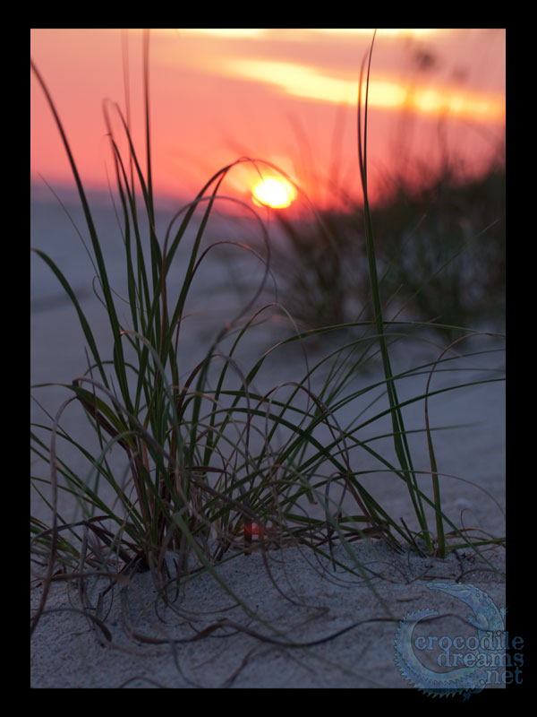 Oak Island Sunset