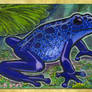 ACEO/ATC: Blue Dart Frog