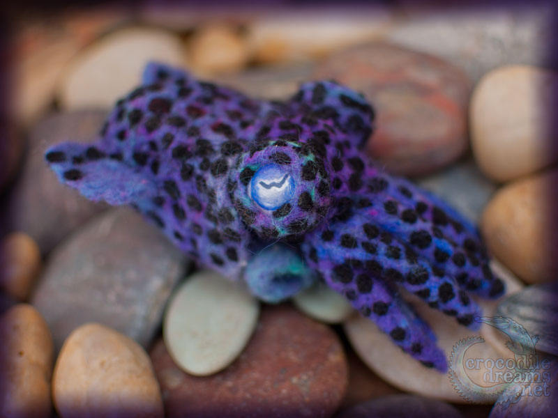 Needle-felted Bobtail Squid