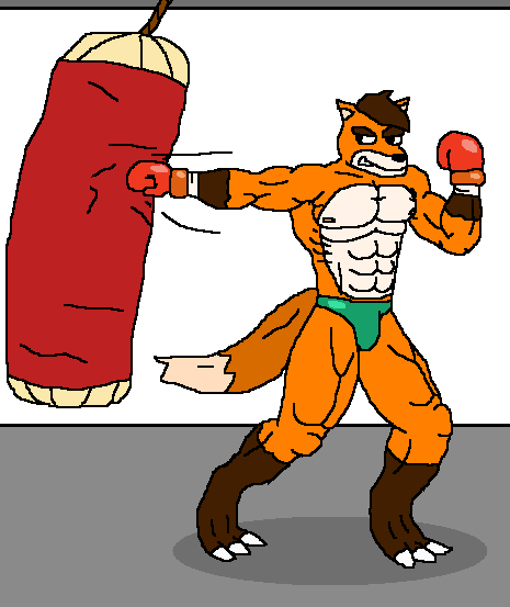 Fox by Masterxvmon on DeviantArt
