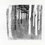 woodland monoprint