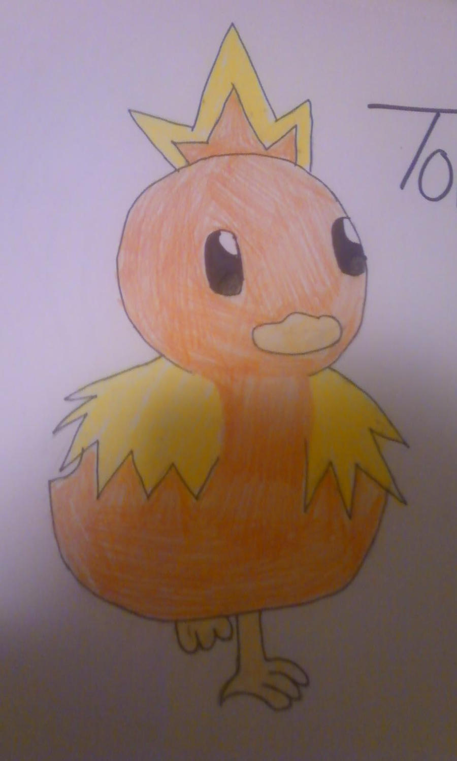 Torchic Draw Torchic_Drawing by SailorRainbowStar on DeviantArt