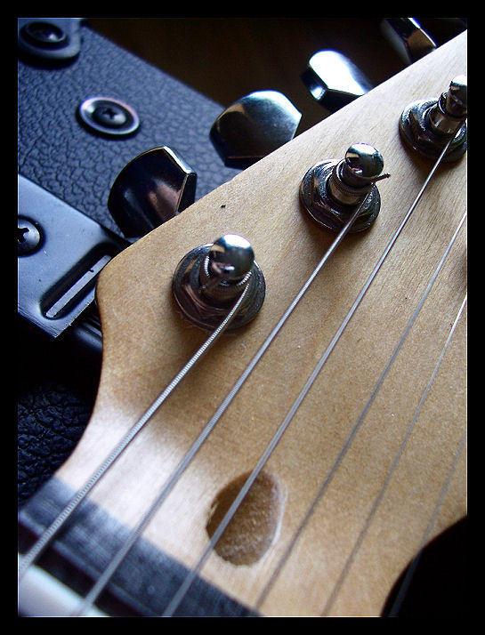 volume plus please by ChatNoire on DeviantArt