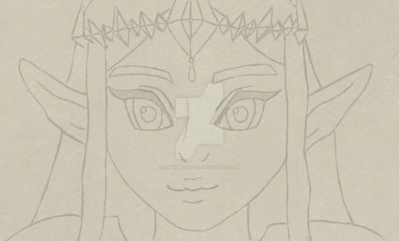 Hyrule Warriors Zelda WIP