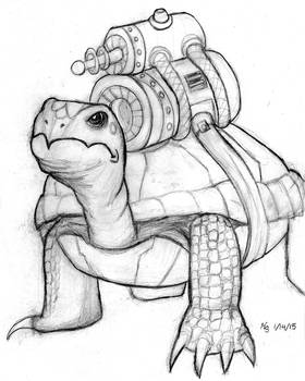 Robot Turtle