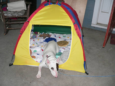 Resting In Her Tent