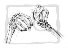 hand's skeletal structure 1