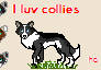 i love collies - working dogs