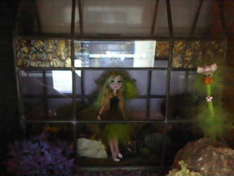 Fern in her green house