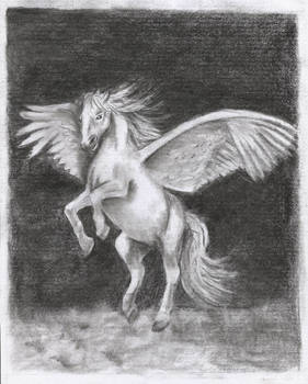 Pegasus Drawing