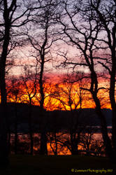 New Melones Lake Sunset 1