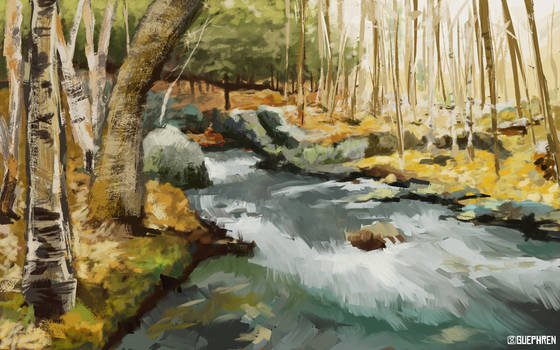 River In The Forest - Practice