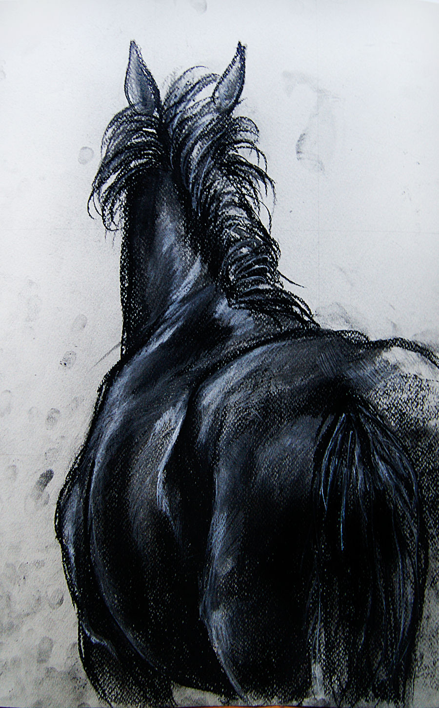 random black horse