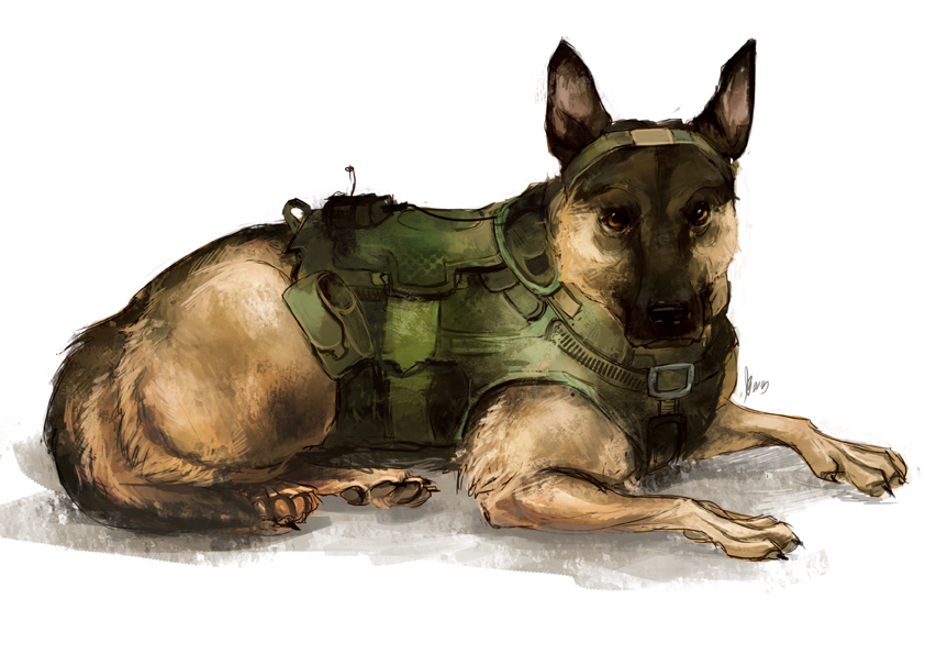 Riley From Call Of Duty