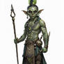 Goblin Shaman 9