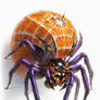 Peeled Orange Spider