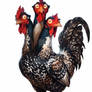 3 Headed Rooster