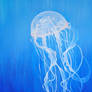 Dance of the Jellyfish