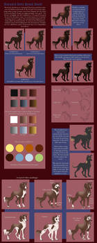 The Stargard Spitz Breed Sheet