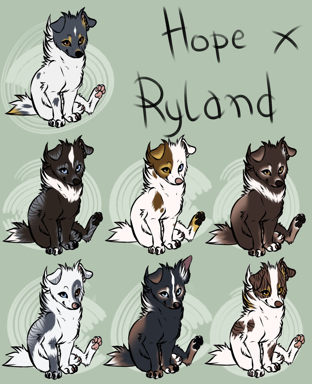 Ryland x Hope litter [CLOSED]