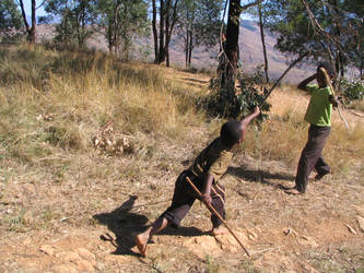 Stick-Fighting Warriors