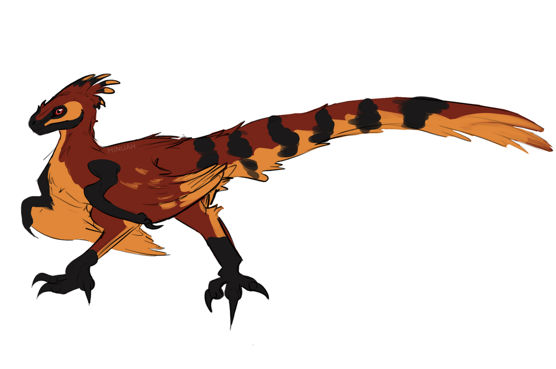 Bashful Raptor Beardedvulture.raptor (CLOSED) by Minuah on DeviantArt