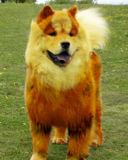 Real Arcanine