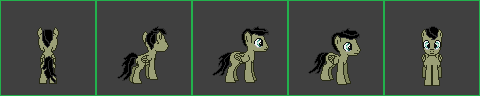 My Oc pony