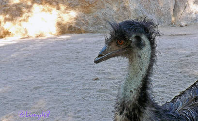 Emu Centro Ecologico.
