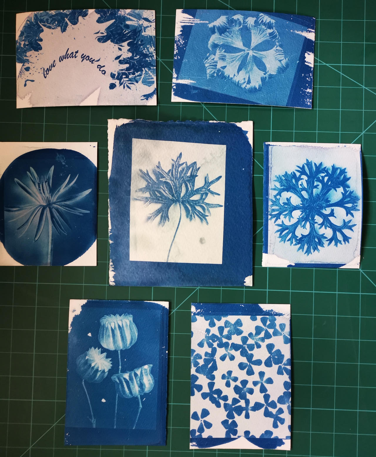 Good Cyanotype Examples Cyanotypes on card and paper (using negatives) by DawnHollamby on ...