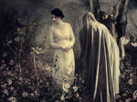 Two Degrees Astray by Frama