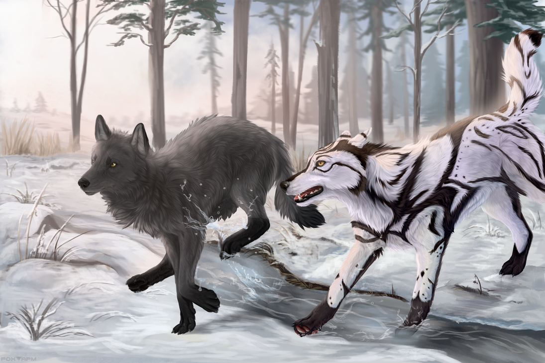 Deviantart Wolves