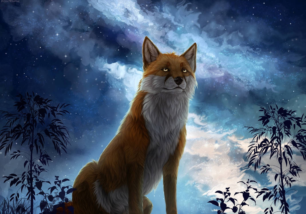 Stargazer by Foxapm on DeviantArt