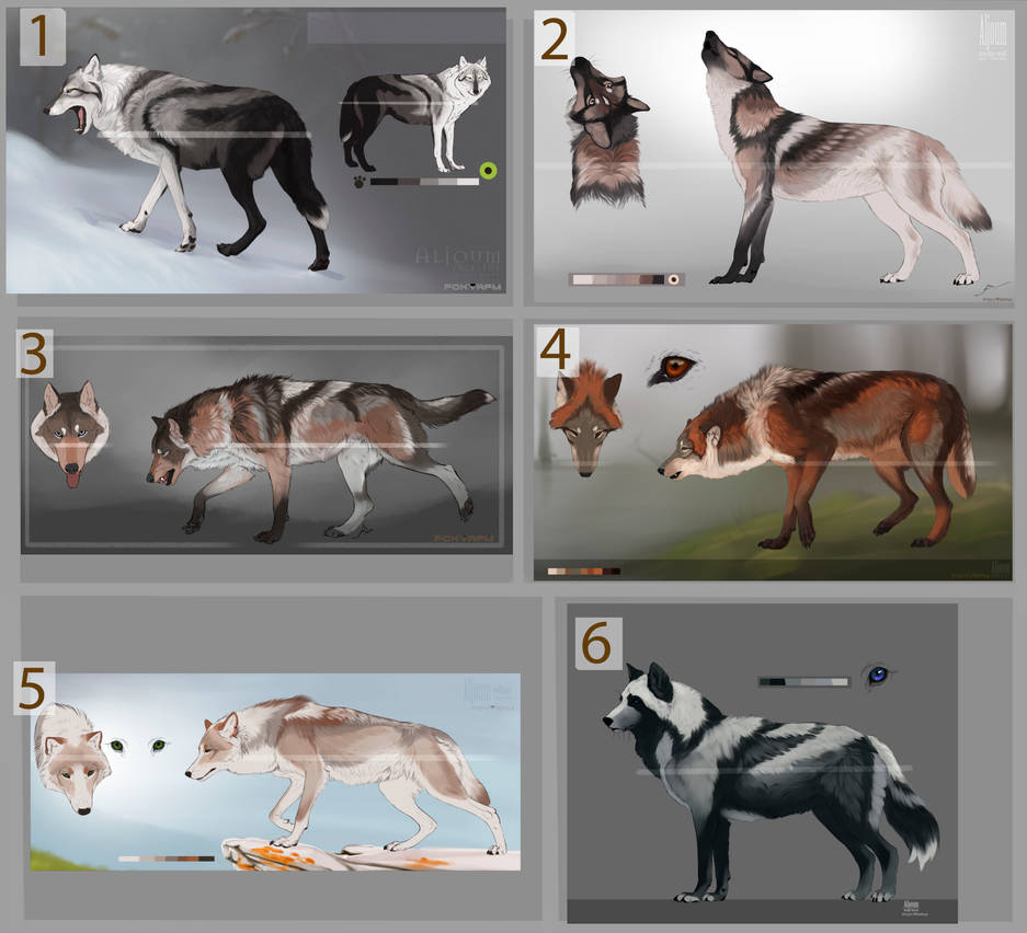 Wolf adopts CLOSED (bases Aljoum) by Foxapm on DeviantArt
