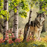 Wild flowers