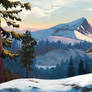 Wilderness