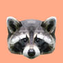 Raccoon Polygon Art Apricot/Peach