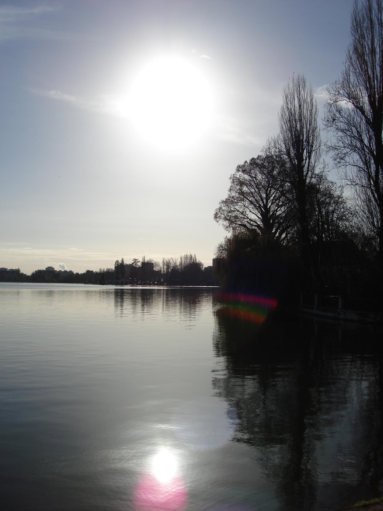 Sunny Reflection Sunny Reflection by Xionbox on DeviantArt