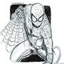 The SpiderMan