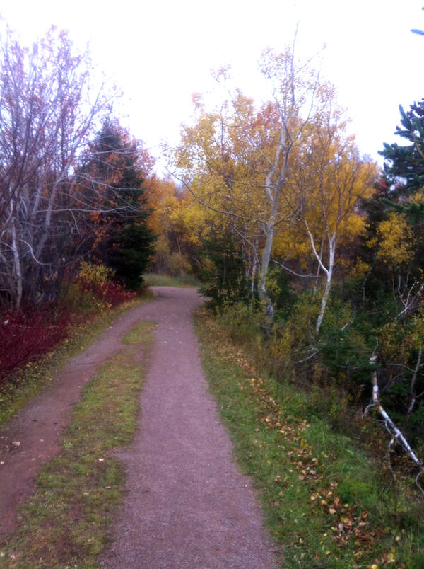 Autumn Pathway