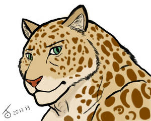 Leopard