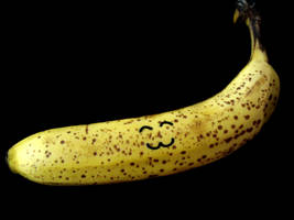 Dalmatiner Banana.