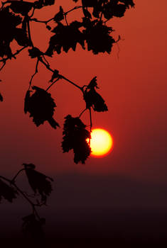 greek sunrise III