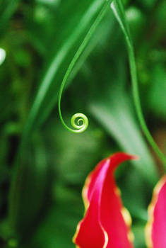 swirl